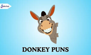 Donkey Puns