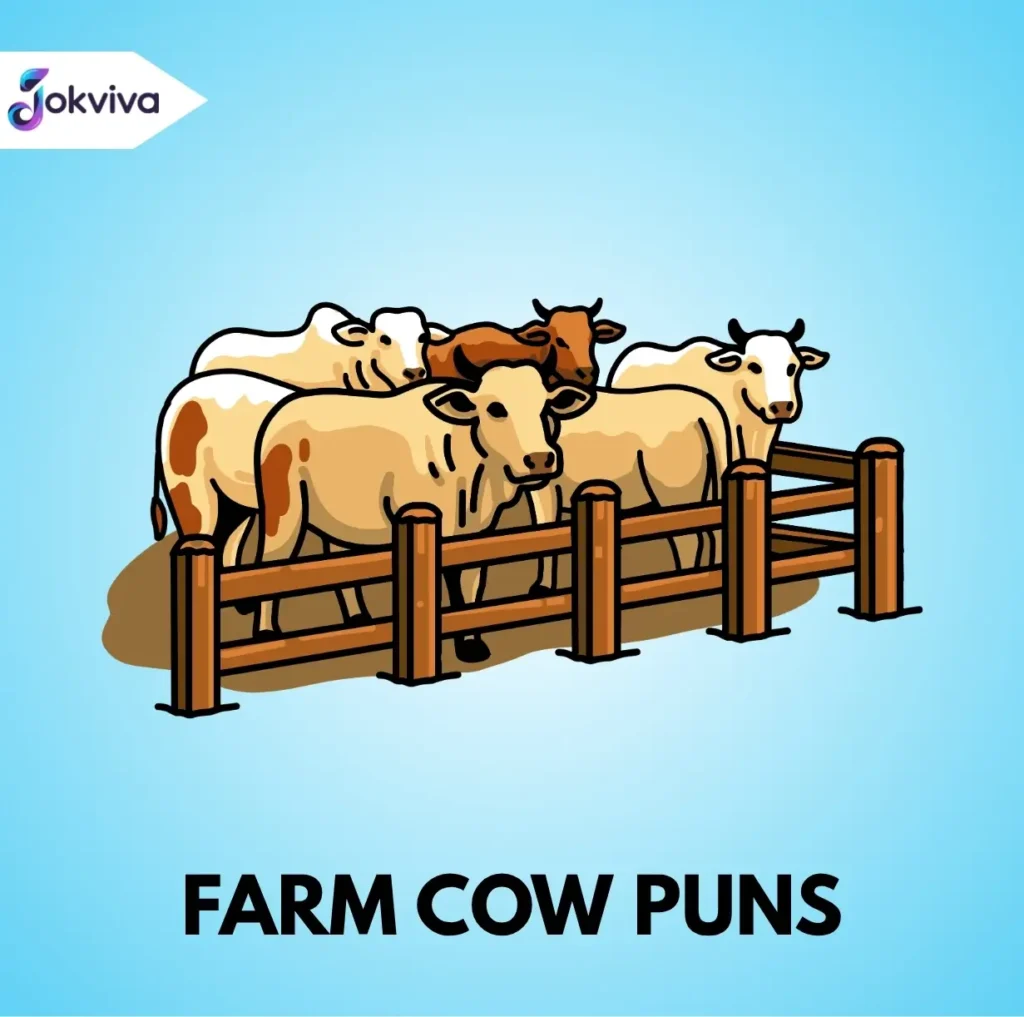 Farm & Barnyard Cow Puns