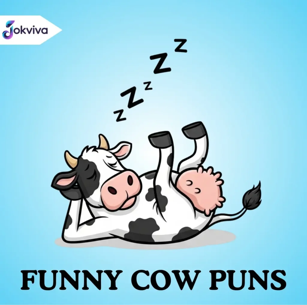 Funny Cow Puns
