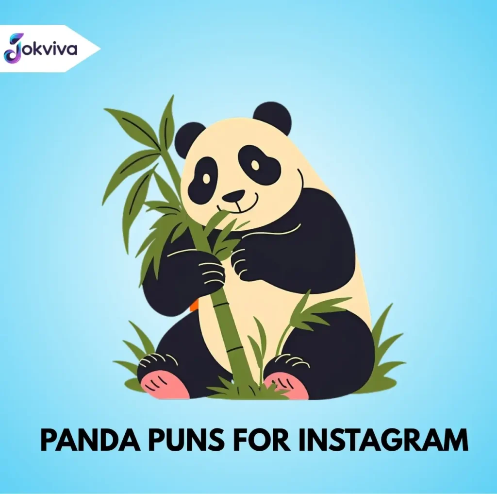 Panda Puns for Instagram captions