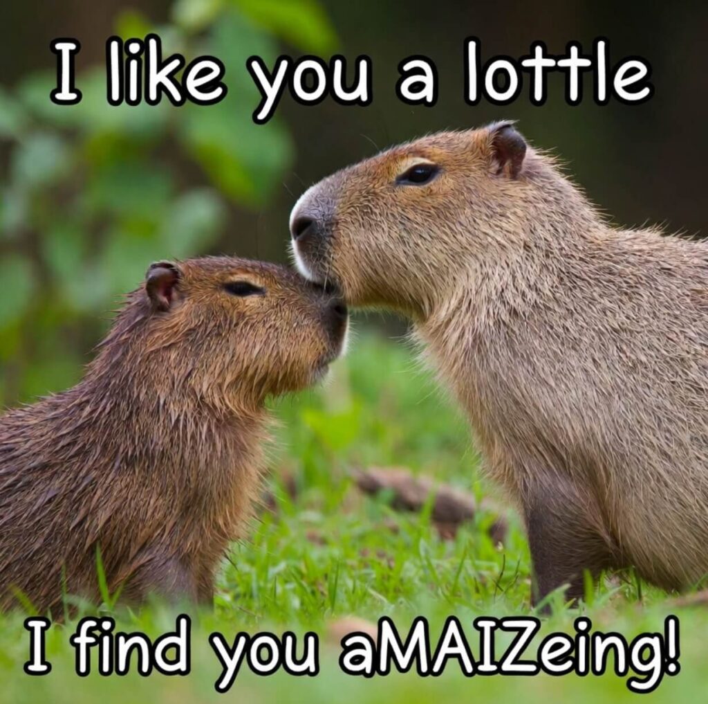 Capybara Love Puns