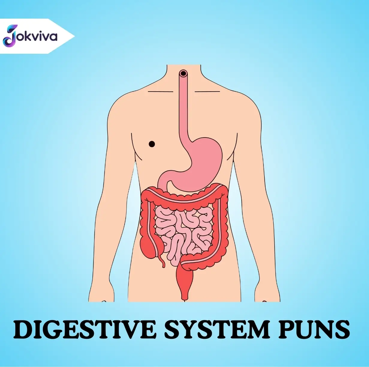 Digestive System Puns