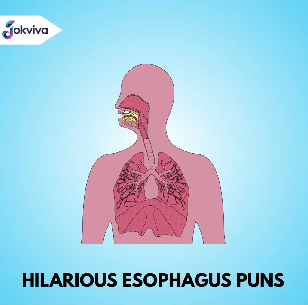Hilarious Esophagus Puns