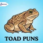 Toad Puns