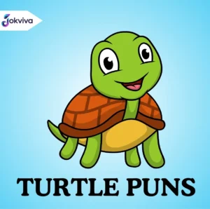 Fun and Clever Turtle Puns for Captions and Jokes