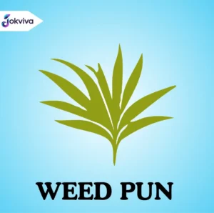 Weed Pun Jokes: 326+ Funny, Creative & Shareable Lines