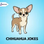 Chihuahua Jokes