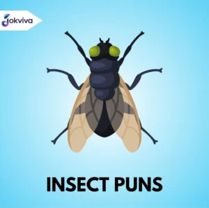 Insect Puns