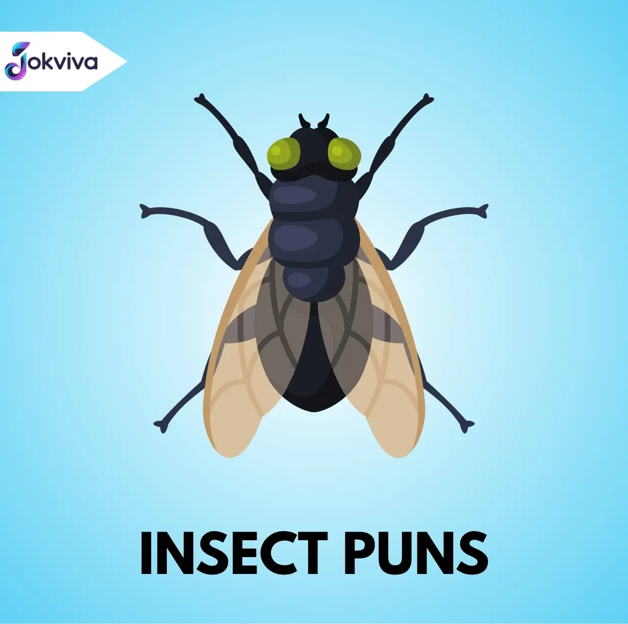 Insect Puns